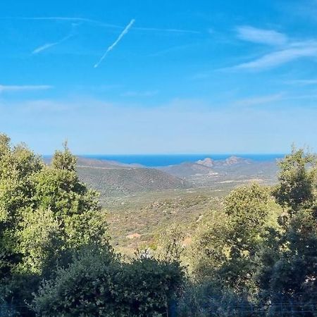 Vos Vacances A Lama France Corse Exterior photo